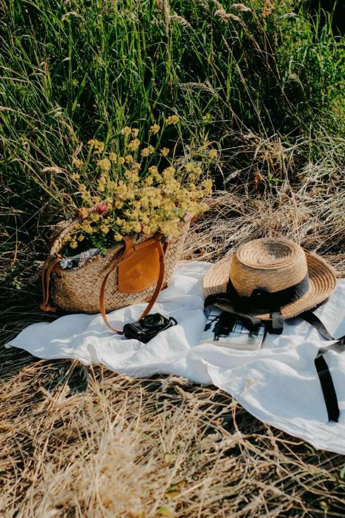 picnic essentials