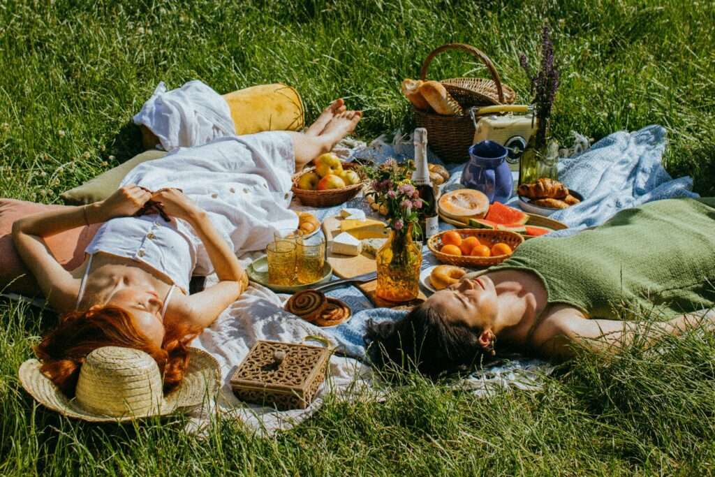 picnic french